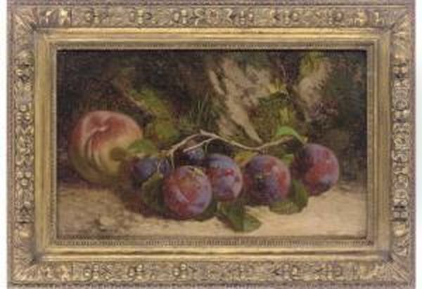 Plums And Peach Oil Painting by William Hughes