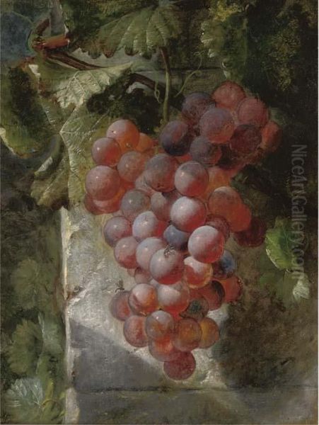 Grapes On The Vine Oil Painting by William Hughes