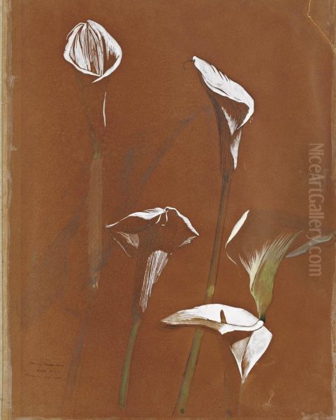 Les Arums Oil Painting by Georges-Victor Hugo