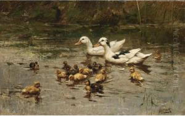 Ducks Having A Swim Oil Painting by Johannes Frederik Hulk, Snr.