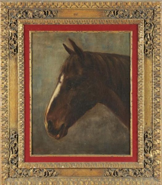 Testa Di Cavallo Oil Painting by Walter Hunt