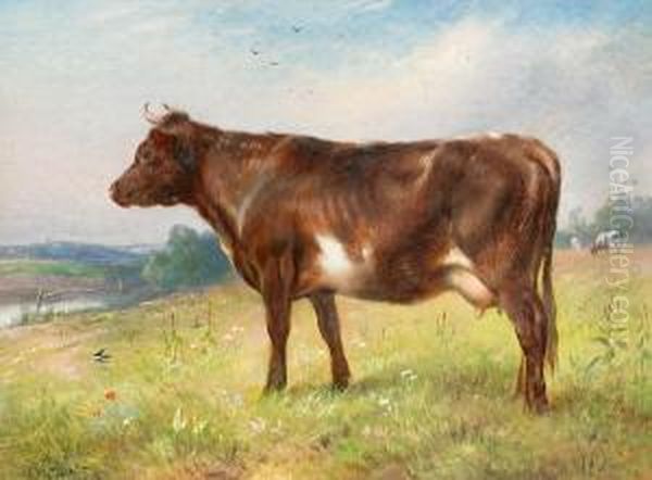 Study Of A Cow Oil Painting by Walter Hunt