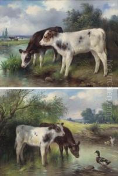 Calves Watering Oil Painting by Walter Hunt