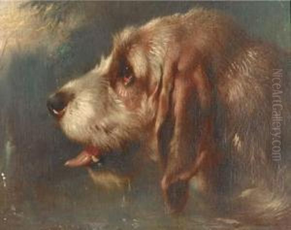 A Head Of A Hound Oil Painting by Walter Hunt