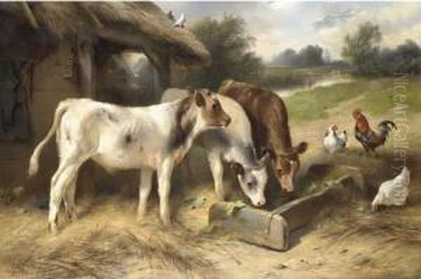 Calves Feeding, With Chickens And Doves Beside A Barn Oil Painting by Walter Hunt