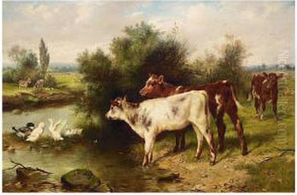 Calves Watering Oil Painting by Walter Hunt