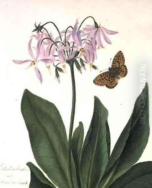 Dodecatheon Meadia and Butterfly Oil Painting by Matilda Conyers