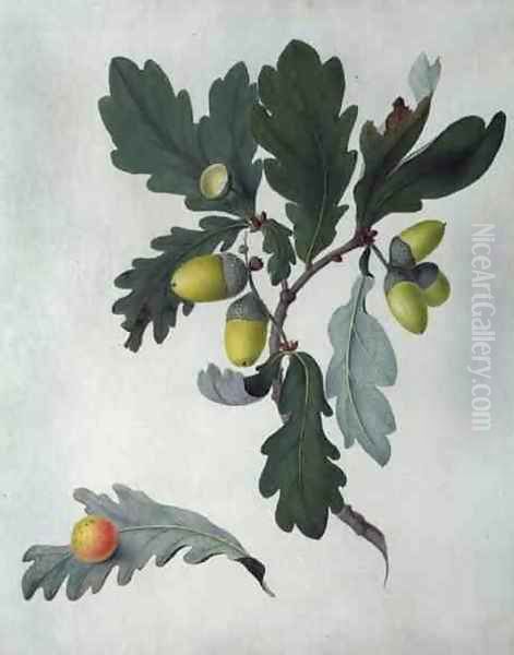 Quercus Oil Painting by Matilda Conyers