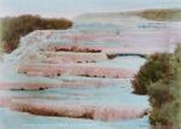 Pink Terraces by Arthur Illies