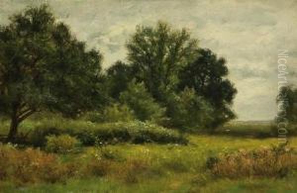 Summer Meadow Oil Painting by Albert B. Insley