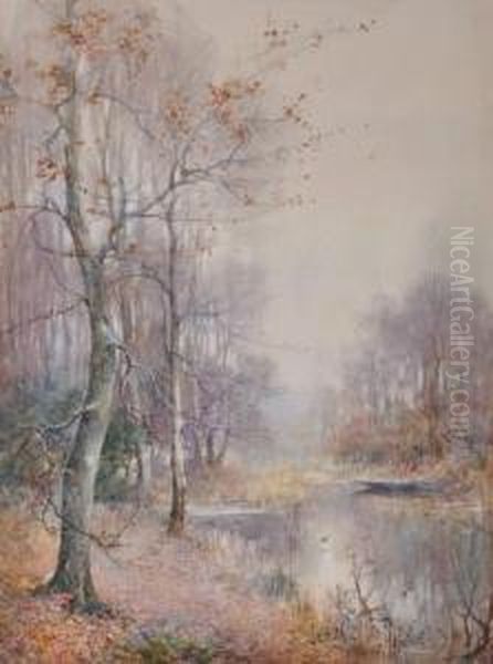 A Woodlandpond Oil Painting by Thomas Tayler Ireland