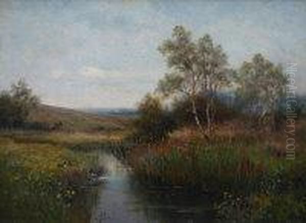 Rural River Landscape With Mallard Rising Oil Painting by Thomas Tayler Ireland