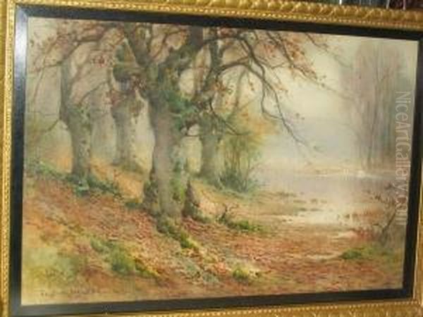 A Woodland River Oil Painting by Thomas Tayler Ireland