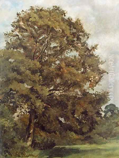 Study of an Ash Tree, c.1851 Oil Painting by Lionel Constable