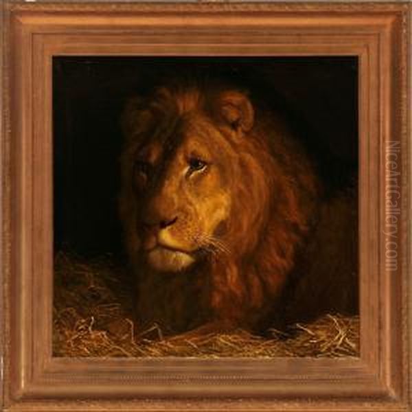 A Male Lion Oil Painting by Valdemar Irminger