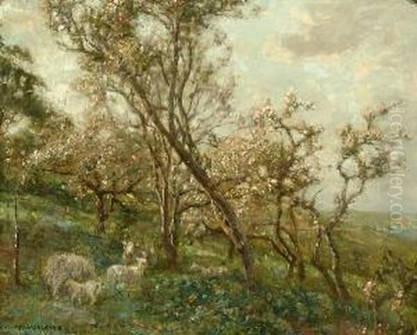 Sheep In An Orchard Oil Painting by Frederick William Jackson