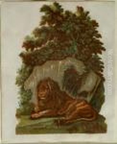 The Lion 1754 Oil Painting by John Baptist Jackson Of Batersea