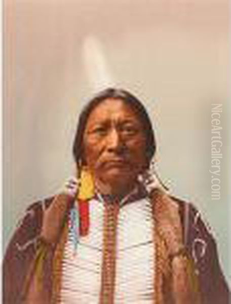 Buckskin Charlie, Sub-chief Of The Utes Oil Painting by William Henry Jackson