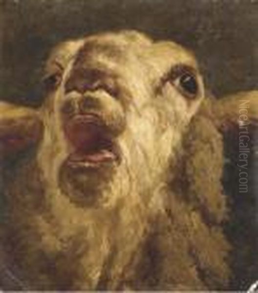 Mouton Belant Oil Painting by Charles Jacques