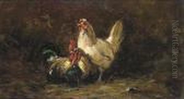 Study Of A Cockerel And Hen Oil Painting by Charles Jacques