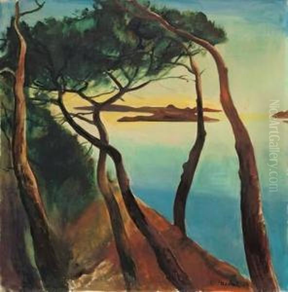 Landschaft Am Meer (ragusa) Oil Painting by Willy Jaeckel