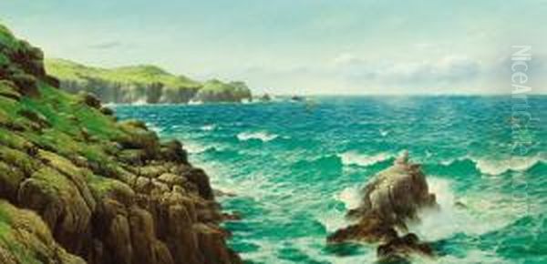 Sea Cliffs Oil Painting by David James