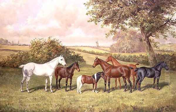 A Group of Ponies Oil Painting by Frederick Albert Clark