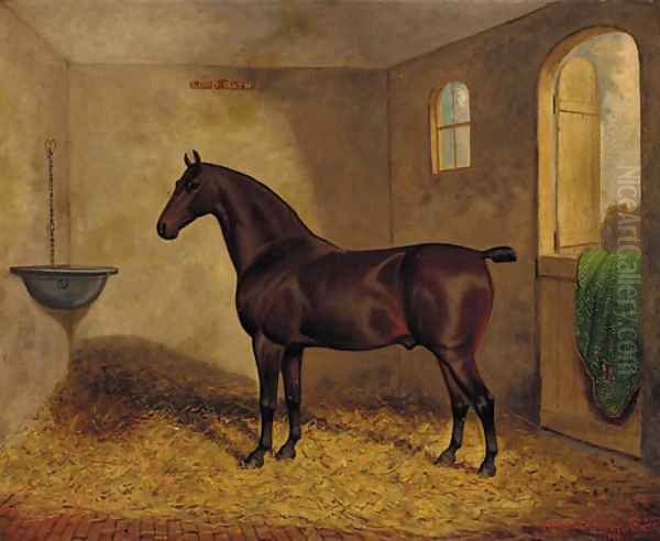 Lord Bath, a bay horse in a stable Oil Painting by Frederick Albert Clark