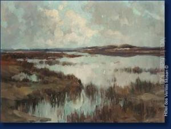 Marais Du Steenven Oil Painting by Ludovic Janssen