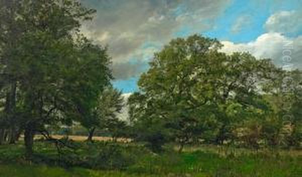 The Oak Forest In Jaegersborg's Garden Oil Painting by August Andreas Jerndorff