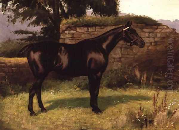 Black Prince Oil Painting by Margaret Collyer