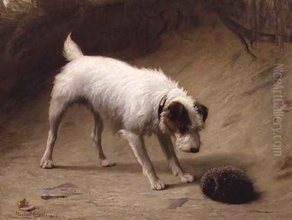 Nonplussed 1900 Oil Painting by Margaret Collyer