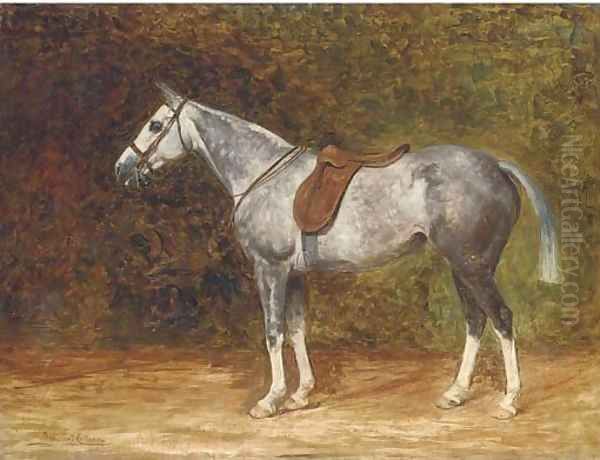 A saddled dapple grey hunter Oil Painting by Margaret Collyer