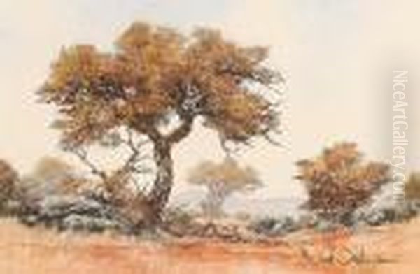 African Savanah Oil Painting by David Johnson