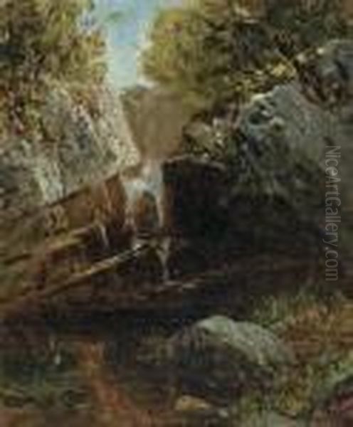 Bash Bish Falls Oil Painting by David Johnson