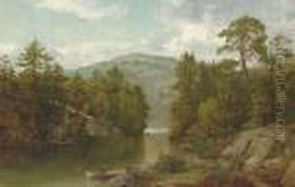 A View On Lake George (paradise Bay) Oil Painting by David Johnson