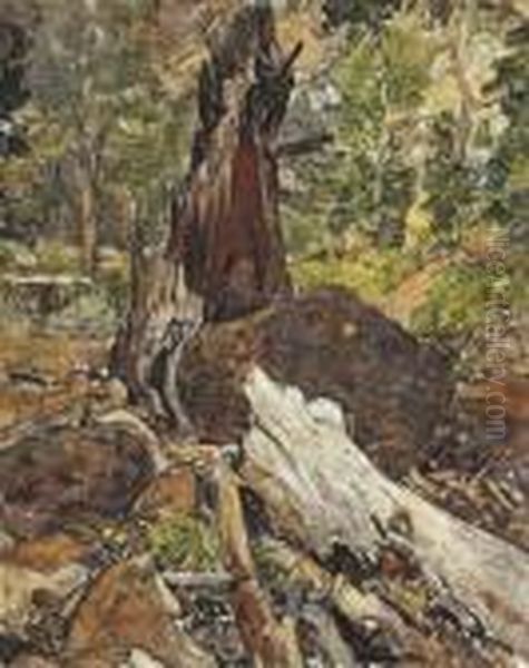 A Fallen Tree, Canyon Creek, Wyoming Oil Painting by Frank Tenney Johnson