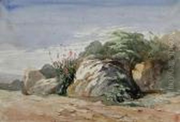 Study Of Rocks Oil Painting by Harry John Johnson