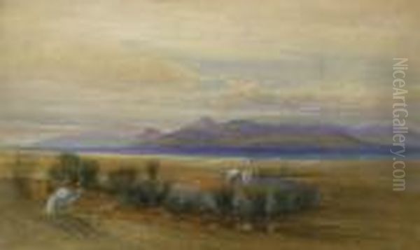 The Island Of Aegina From The Shores Of The Marsh Extending Along Phalerum Bay' Oil Painting by Harry John Johnson