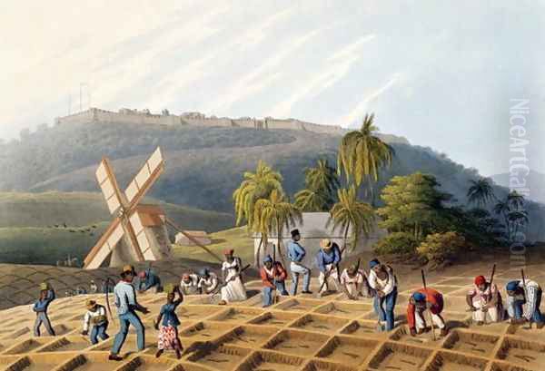 Slaves Planting Cane Cuttings, from 'Ten Views in the Island of Antigua', 1823 Oil Painting by William Clark