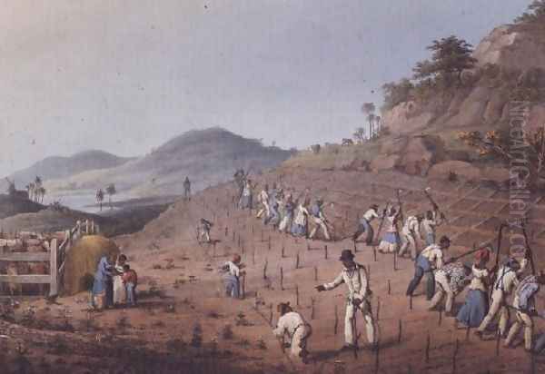 Breaking up the Land, from 'Ten Views in the Island of Antigua', 1823 Oil Painting by William Clark