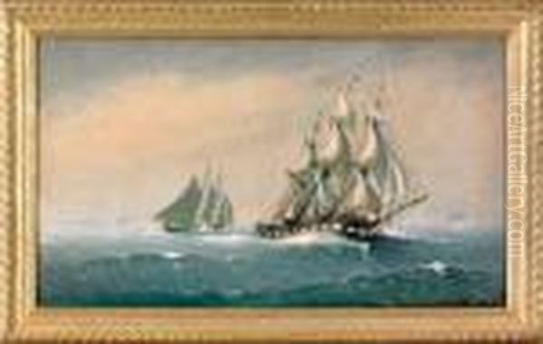 Clipper Ship Marco Polo Leaving Bay Of Fundy Oil Painting by Marshall Johnson