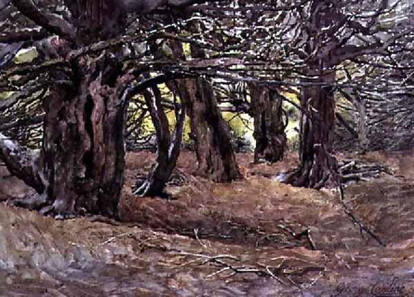 Yews in the Old Yews Wood, Earl of Radnor's Estate, near Salisbury Oil Painting by George Carline