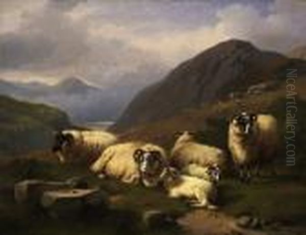 Sheep In The Scottish Highlands Oil Painting by Adolphe Robert Jones