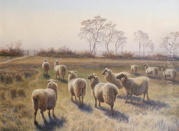 Sheep On A Farm Oil Painting by Charles Jones