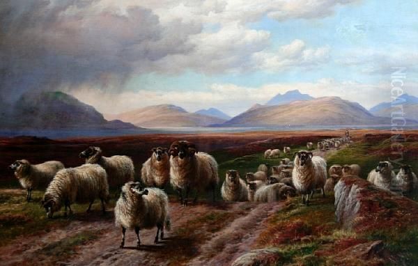 Drover And Sheep On A Road In The Scottishisles Oil Painting by Charles Jones