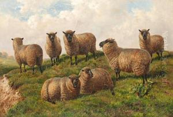 Sheep In A Landscape Oil Painting by Charles Jones