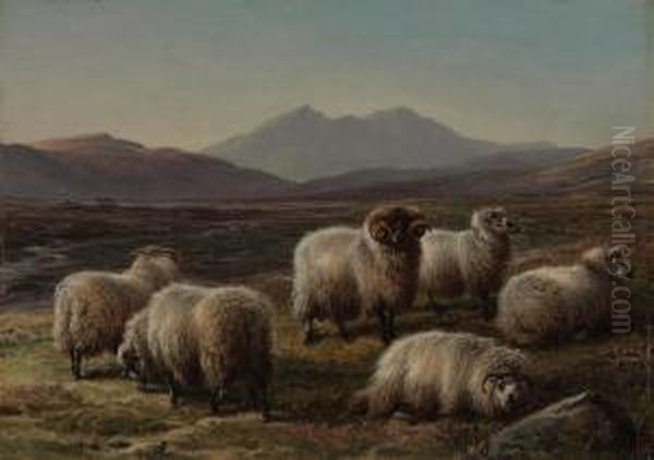 Sheep In A Highland Landscape Oil Painting by Charles Jones