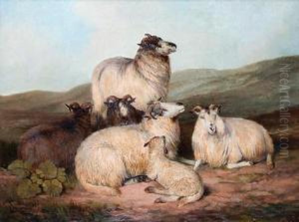 Sheep On A Moorland Oil Painting by Charles Jones