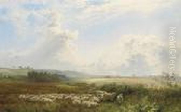 Sheep Grazing In A Meadow On A Summer's Day Oil Painting by Charles Jones